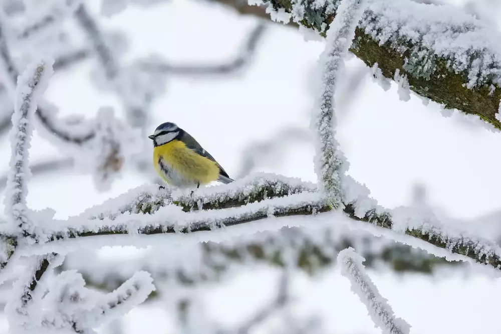 Natur Respektvoll Erleben