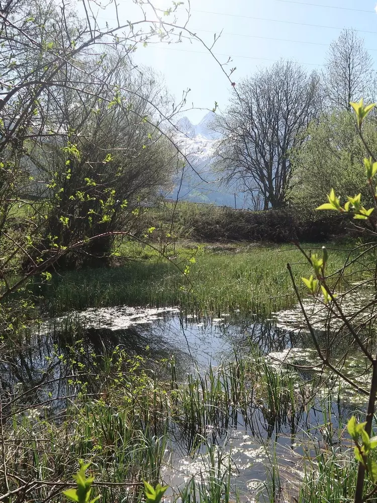 Der Kauner Weiher am "Weiherbühel"