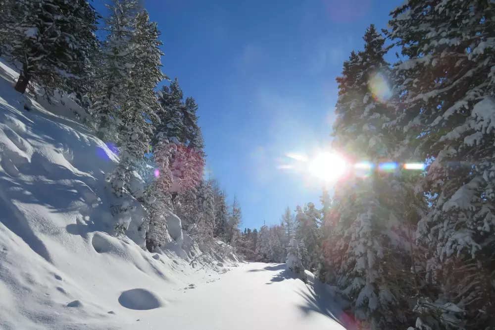 Schneeschuh Schnupperkurs